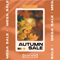 Picture Autumn Sale Instagram Post