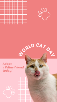 World Cat Day Adoption Instagram Story