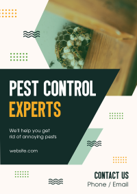 Pest Control Experts Flyer