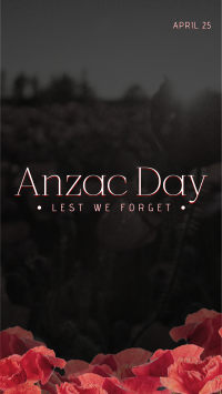 Anzac Poppies Video