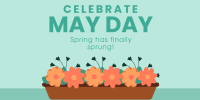 Celebrate May Day Twitter Post