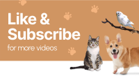 Online Vet Consultation YouTube Video Design