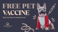Pet Health Vaccine Animation