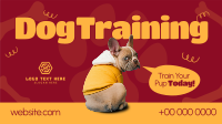 Quirky Dog Training Animation