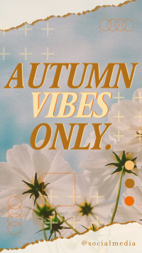 Autumn Vibes Greeting YouTube Short