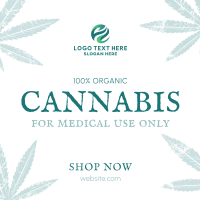 Cannabis Cures Instagram Post