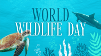 Aquatic Wildlife  Video Design