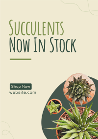 New Succulents Poster