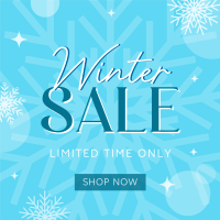 Winter Shopping  Sale Instagram Post