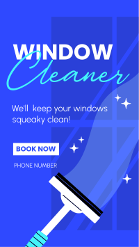 Squeaky Clean Windows Instagram Reel