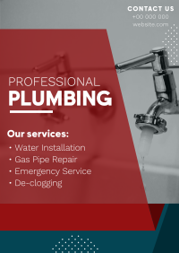 Professional Plumbing Poster