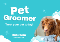 Professional Pet Groomer Postcard