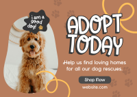 Dog Adoption Postcard Design