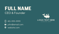 Whale Bird Animal Business Card