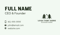 Pine Tree Mountain Nature Business Card Design