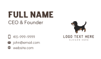 Dachshund Chewing Bone Business Card