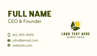 Sun Sprout Garden Business Card Design