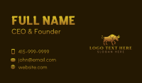 Bull Ranch Horn Business Card Design