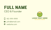 Sun Leaf Landscaping Business Card Design