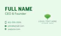 Tree Plant Park  Business Card Design