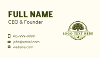 Netherlands Oak Tree Business Card