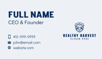 Pressure Washing Cleaner Business Card Image Preview