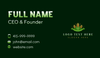 Corn Crop Harvest Business Card