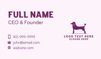 Pet Poodle Dog  Business Card