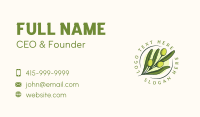 Natural Olive Fruit Business Card Design