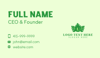 Cancun Business Card example 3