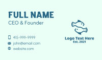 Stellar Business Card example 4