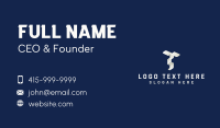 Media Creative Studio Letter T Business Card