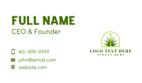 Lawn Grass Growth Business Card Design