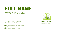 Lawn Grass Growth Business Card Image Preview