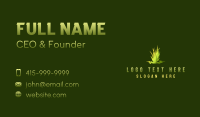 Grass Garden Maintenance Business Card