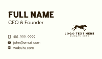 Dog Pet Vet Business Card Design