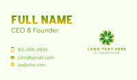 Leaf Energy Biodegradable Business Card Design