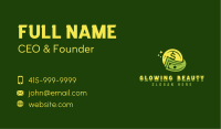 Money Accounting Currency Business Card