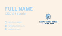 Aqua Sailor Dolphin Business Card Design