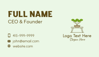 Bonsai Garden Plant Business Card Design