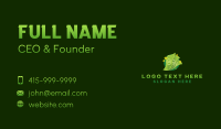 Money Cash Dollar Business Card