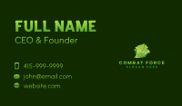 Money Cash Dollar Business Card