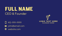 Talent Search Business Card example 2