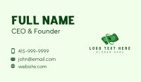 Dollar Money Bill Business Card