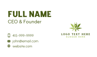 Plant Medical Cannabis Business Card Design