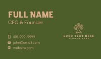 Learning Tree Book Business Card Design