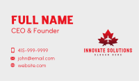 Flying Airplane Canada Business Card