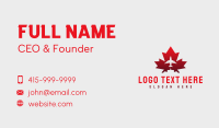 Flying Airplane Canada Business Card