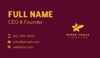 Star Professional Agency Business Card