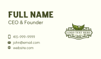 Natural Eco Leaf Business Card Design